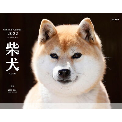柴犬カレンダー   /山と渓谷社